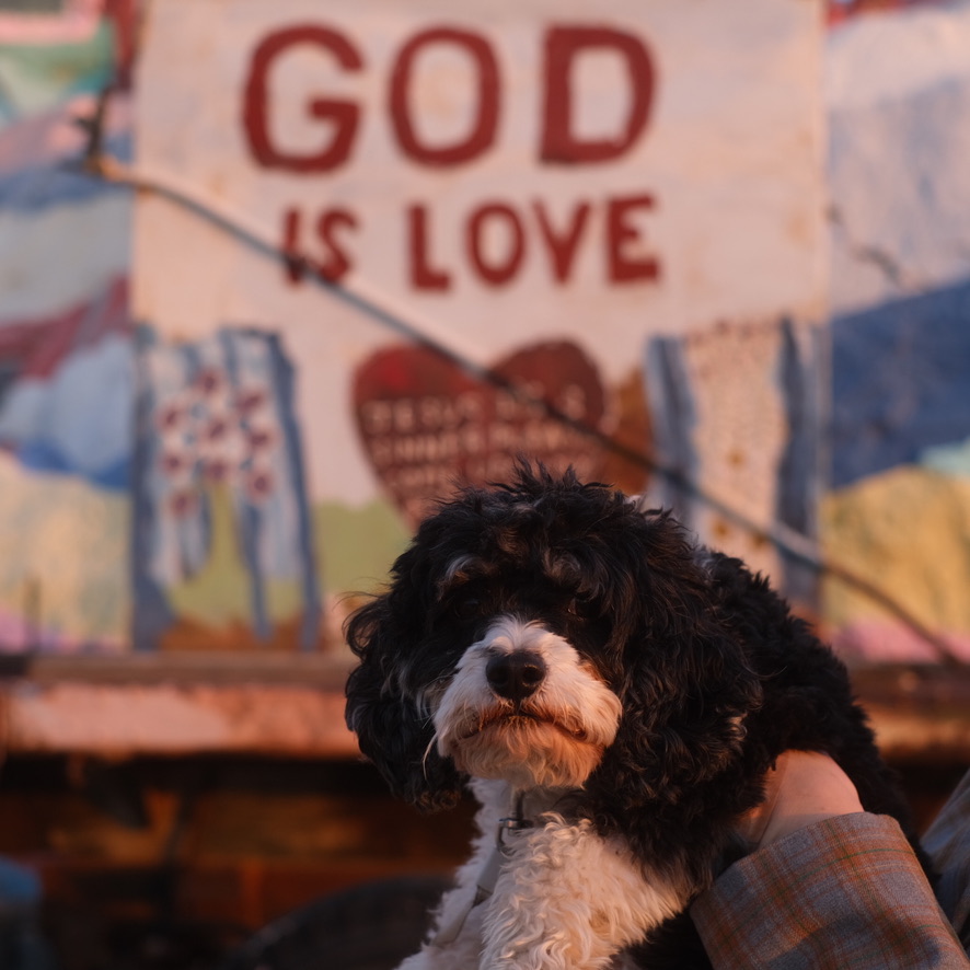 Chewie at Salvation Mountain
