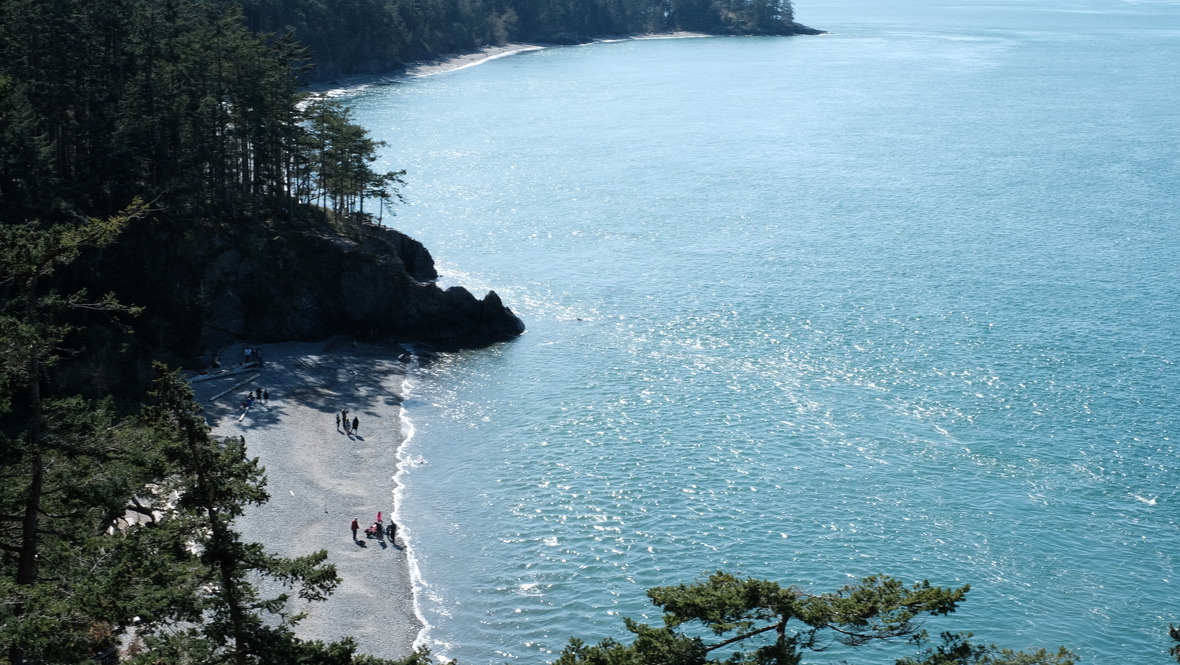 Beach cove from the bluff
