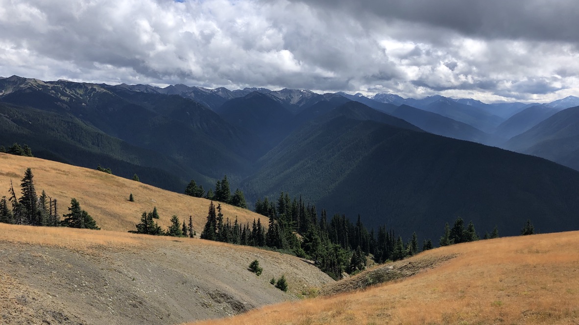 Ridge line and golden meadows